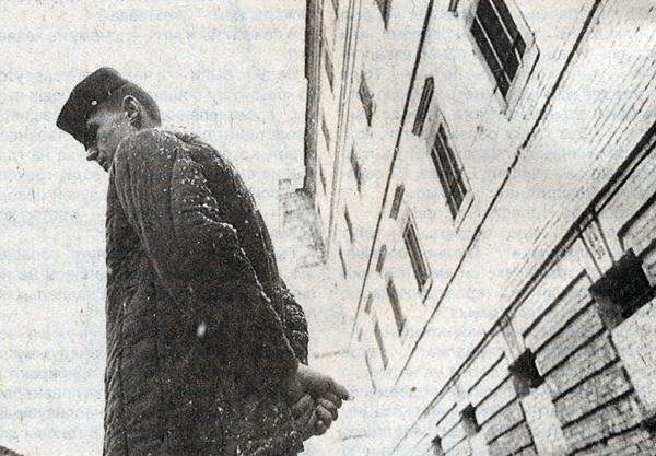 Лагерь «Белый лебедь» - белая птица, порождающая зверя