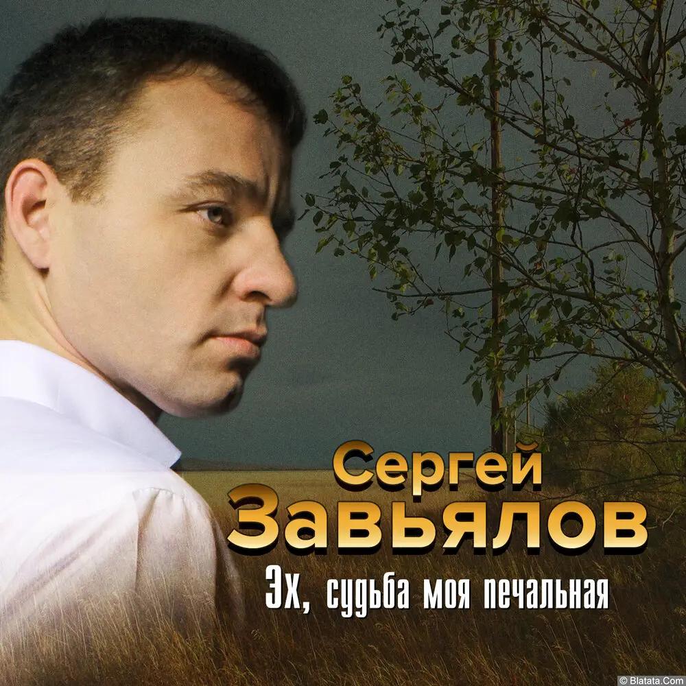 Сергей Завьялов «Эх, судьба моя печальная», 2019 г.