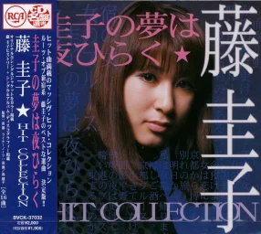 Keiko Fuji - Hit Collection (1999)