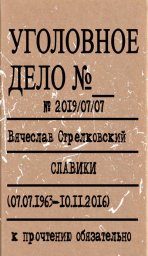 Вячеслав Стрелковский «Славики», 2019 г.