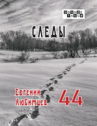 Евгений Любимцев «Следы», 2025 г.