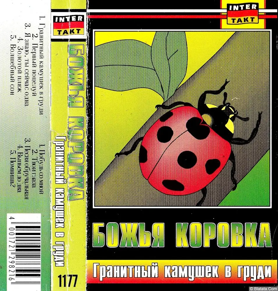 Божья коровка - Гранитный камешек в груди (1995)