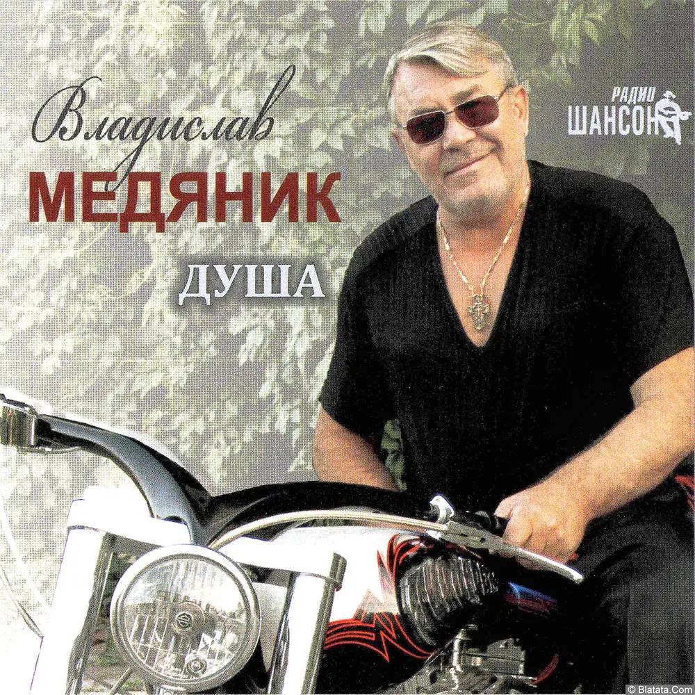 Владислав Медяник - Душа (2015)