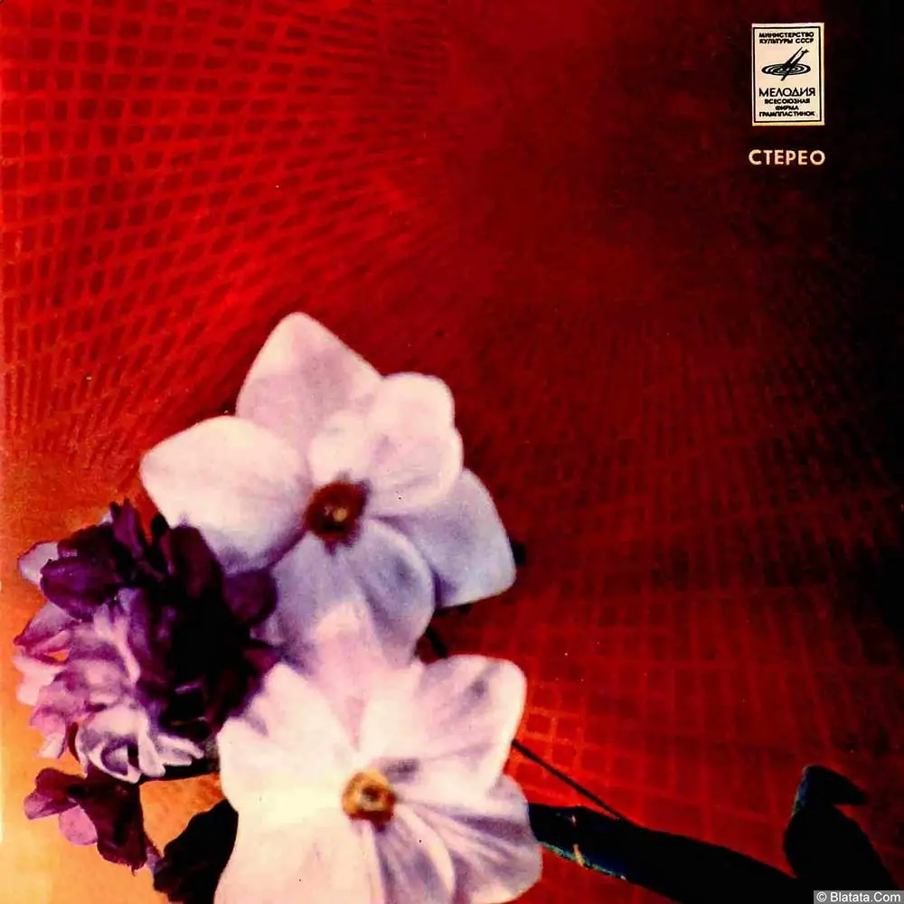 Галина Бовина и Владислав Лынковский - Из-за тебя (1980)