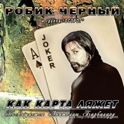 Робик Черный заигрался в карты