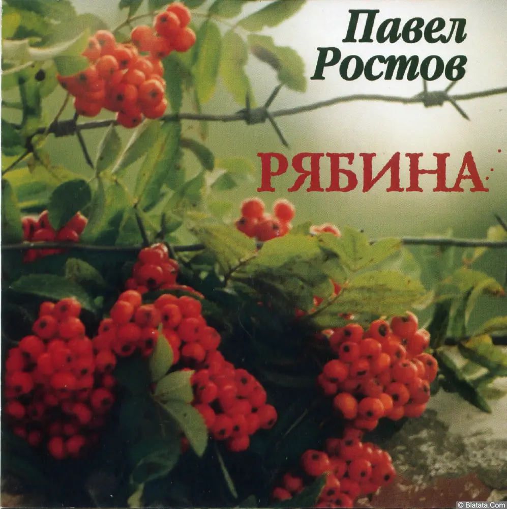 Павел Ростов ‎- Рябина (2002)
