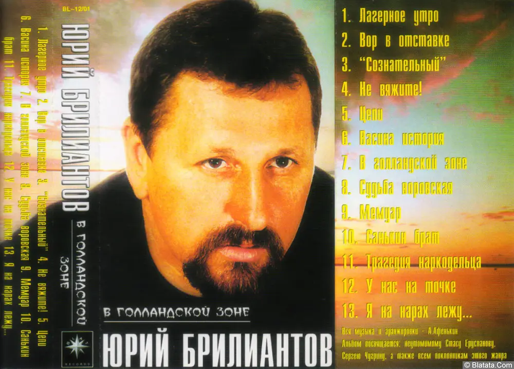 Юрий Брилиантов - В голландской зоне (2001)